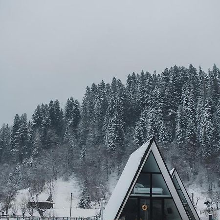 Mountains Hut Villa Mykulychyn Bagian luar foto